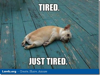 dog-just-tired-resting-funny-meme