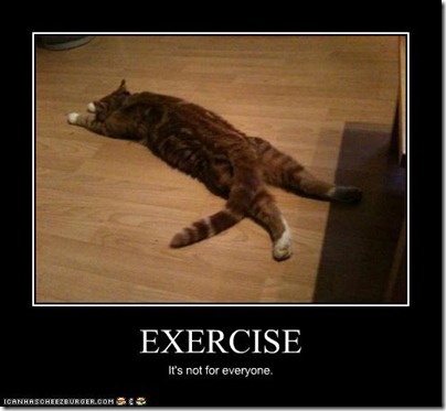 exercise cat